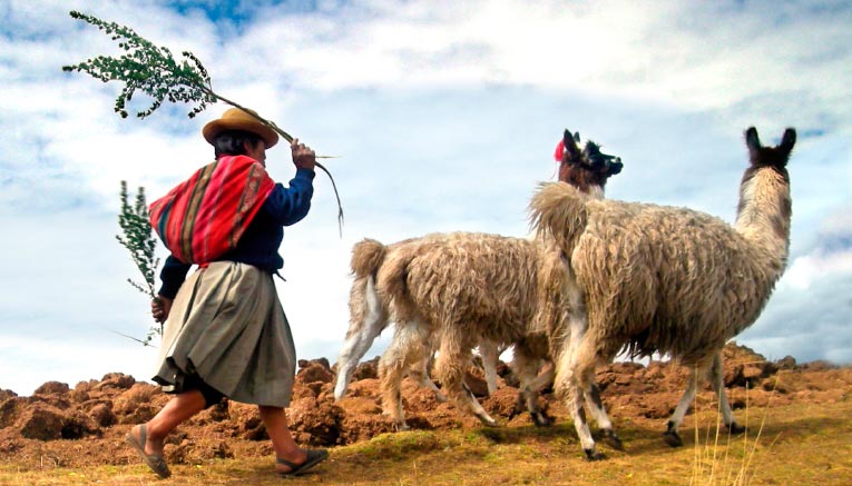 Mpei-peru-multisport-15